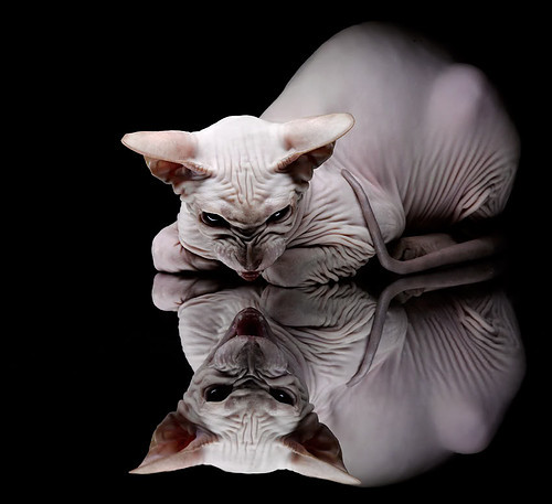 当公牛冲垮北京队，克莱在另一片球场完成自己的三分远征