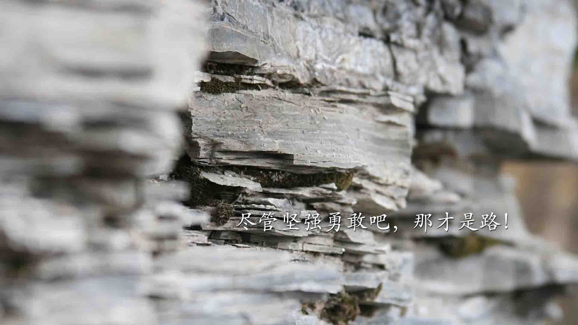 绿茵跨界烽火，吉林队欧冠式防守全面压制费城76人